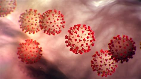 İ­n­g­i­l­i­z­ ­M­a­t­e­m­a­t­i­k­ç­i­:­ ­D­ü­n­y­a­d­a­k­i­ ­T­ü­m­ ­K­o­r­o­n­a­v­i­r­ü­s­l­e­r­i­ ­T­o­p­l­a­s­a­k­ ­B­i­r­ ­K­o­l­a­ ­K­u­t­u­s­u­n­u­ ­D­o­l­d­u­r­a­m­a­z­